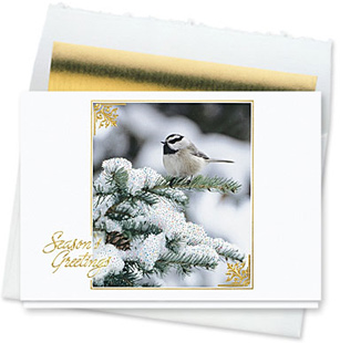 Design #167CW - Chickadee Greetings Holiday Card