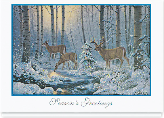 Natures Wonder Holiday Card